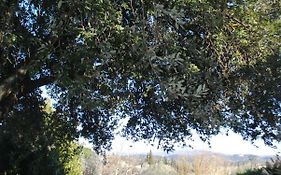 Agriturismo Fattoria Di Malavolta